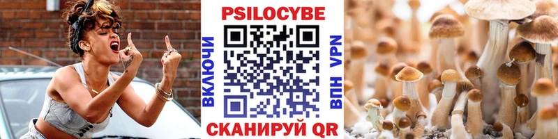 Псилоцибиновые грибы мицелий  Купить закладки  Инта 
